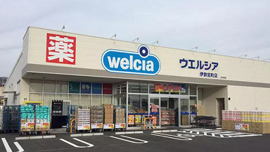 Zリムーバー ウエルシア